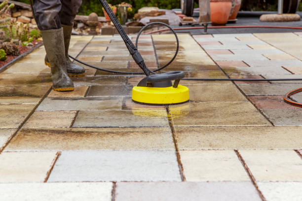 Best Solar Panel Cleaning  in Interlachen, FL